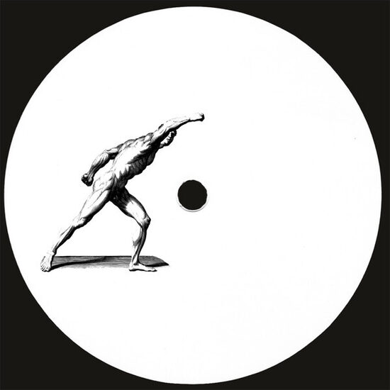 Alessandro Adriani ‎– Fall Elsewhere And Shatter